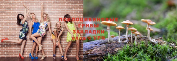 PSILOCYBIN Армянск