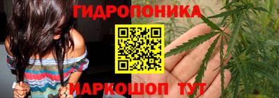 стафф Туймазы