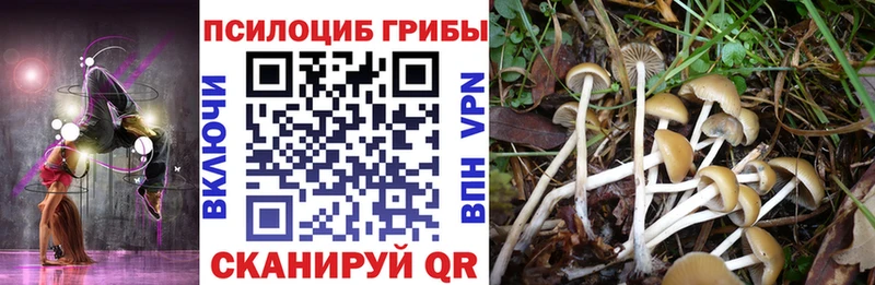 Псилоцибиновые грибы MAGIC MUSHROOMS  Радужный 