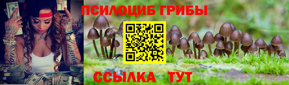 Псилоцибиновые грибы Cubensis Радужный